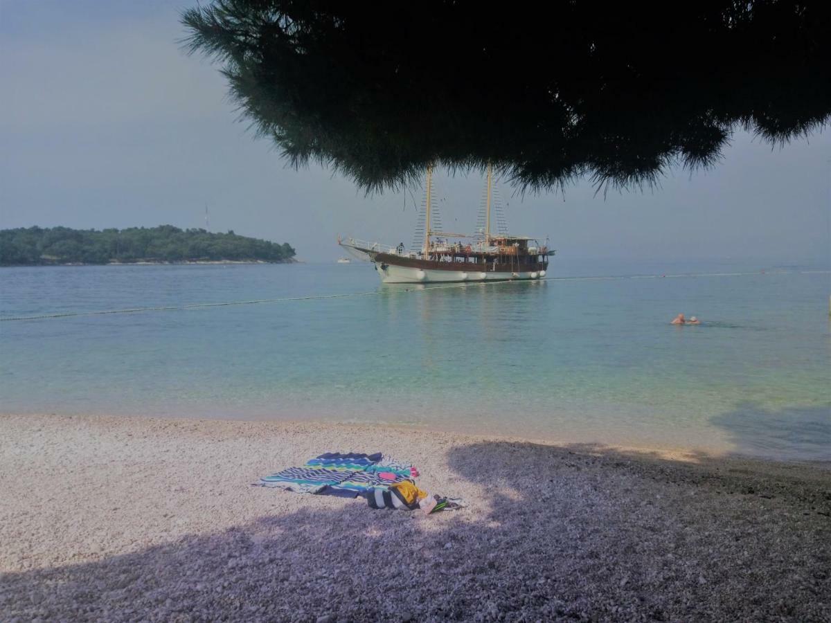 Viva Molindrio Lägenhet Poreč Exteriör bild