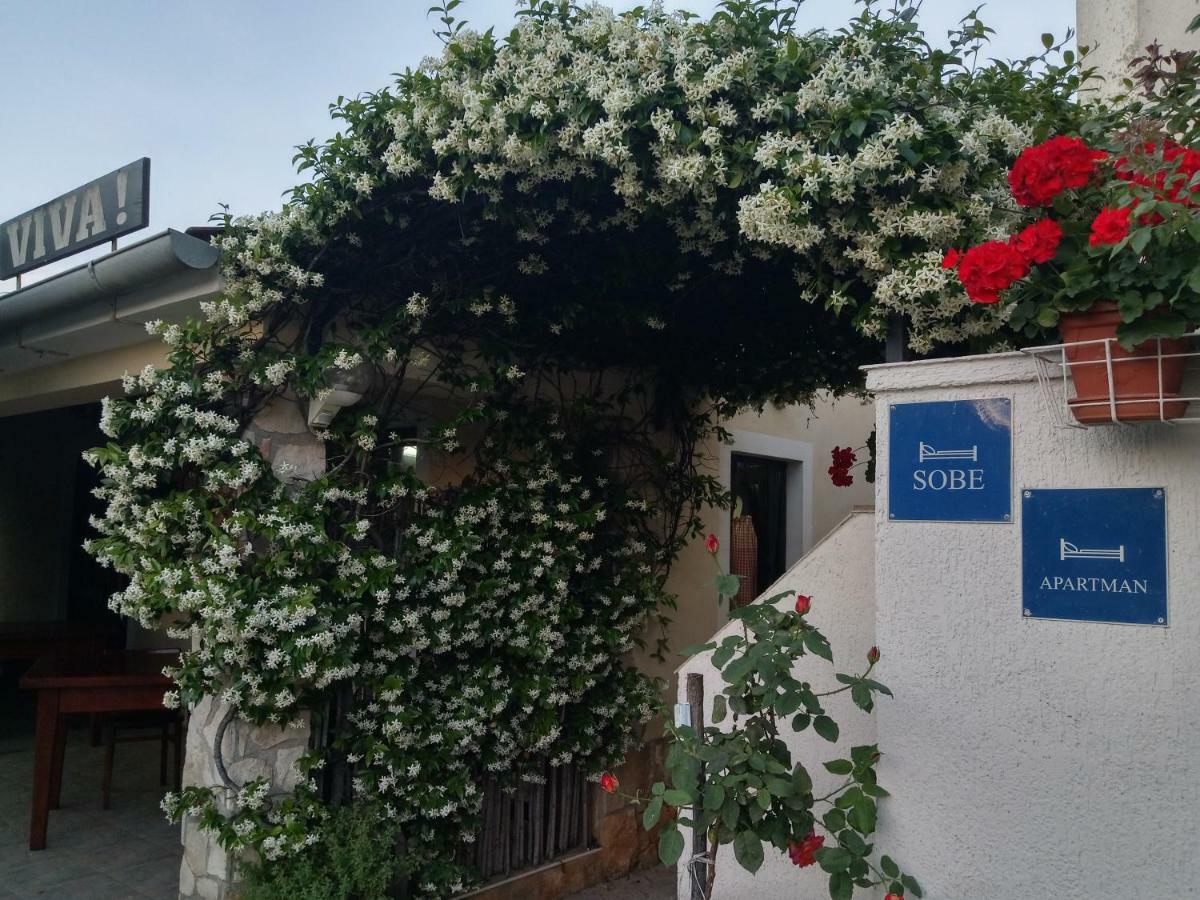 Viva Molindrio Lägenhet Poreč Exteriör bild